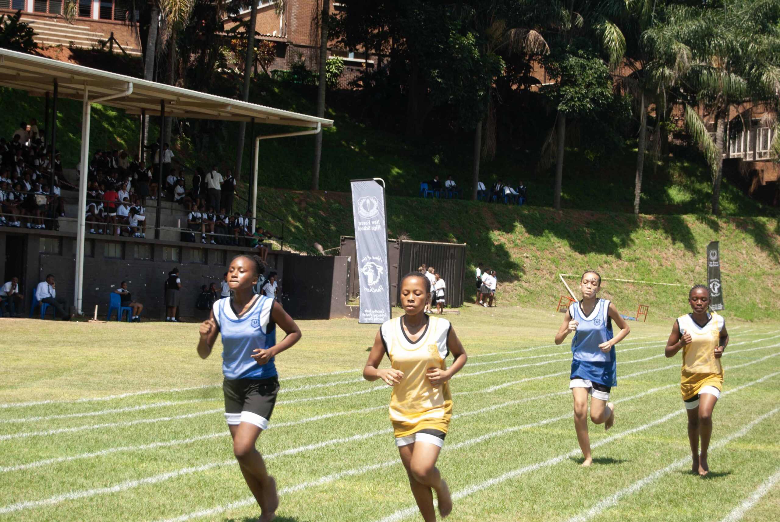 Interhouse Athletics (352)