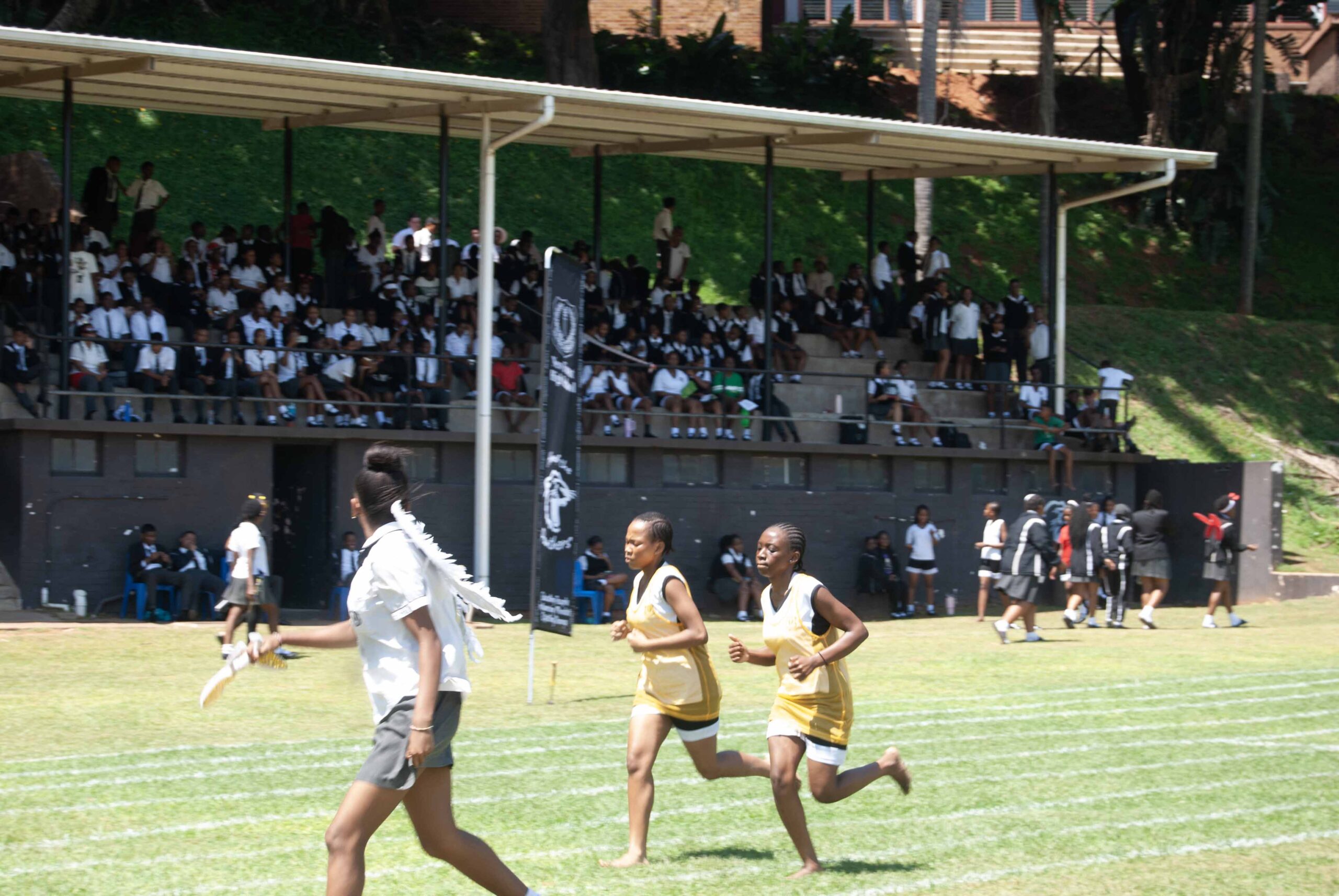 Interhouse Athletics (353)