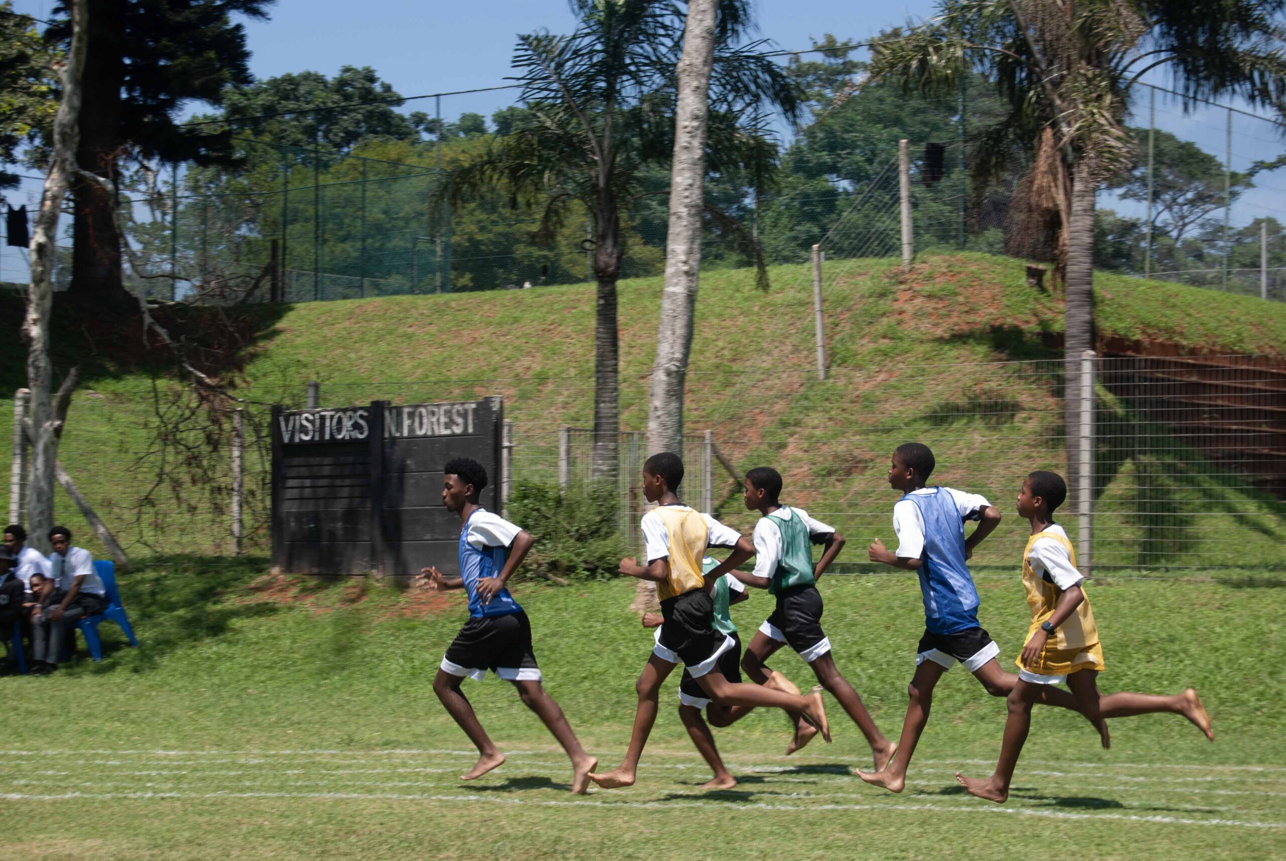 Interhouse Athletics (354)