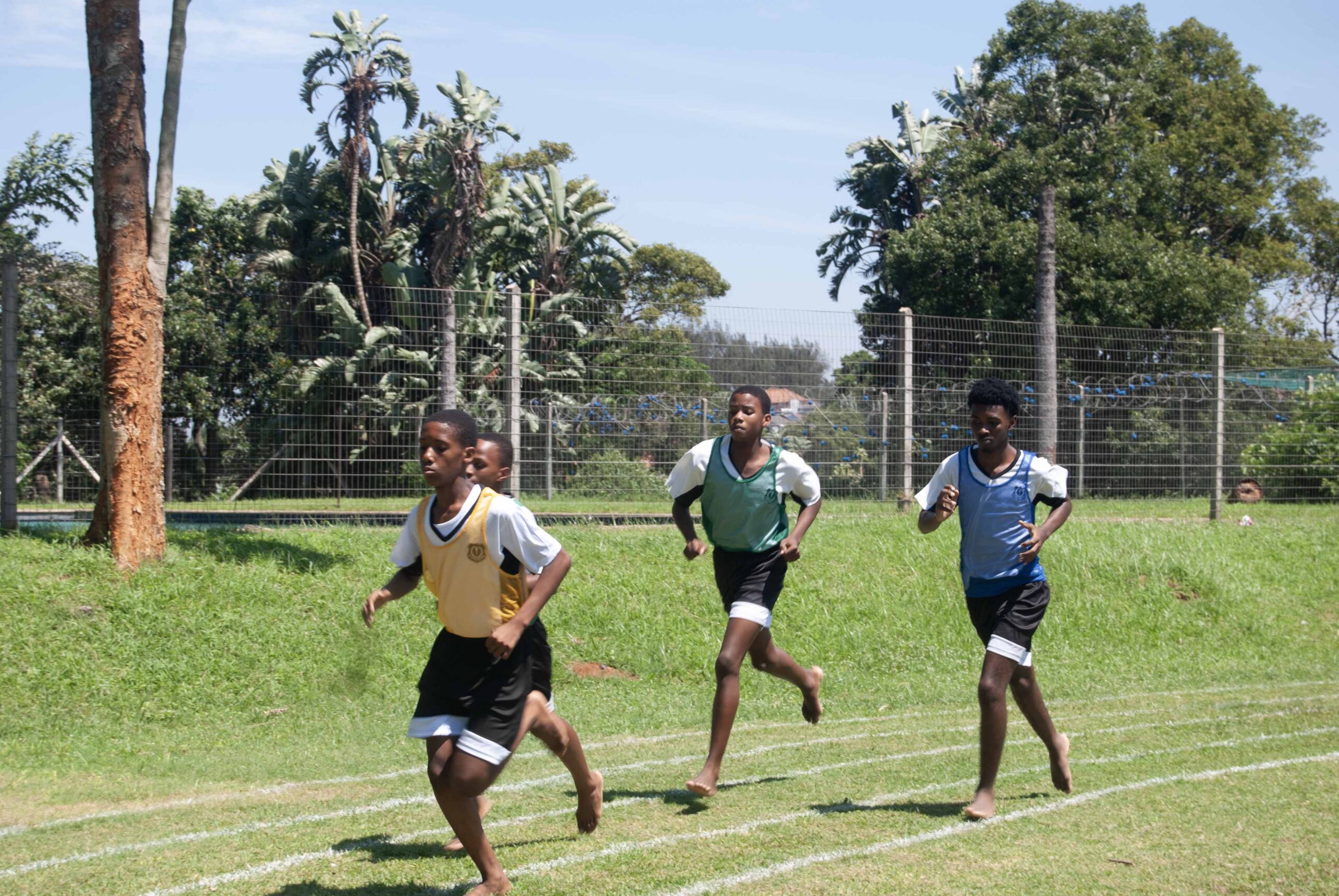 Interhouse Athletics (356)