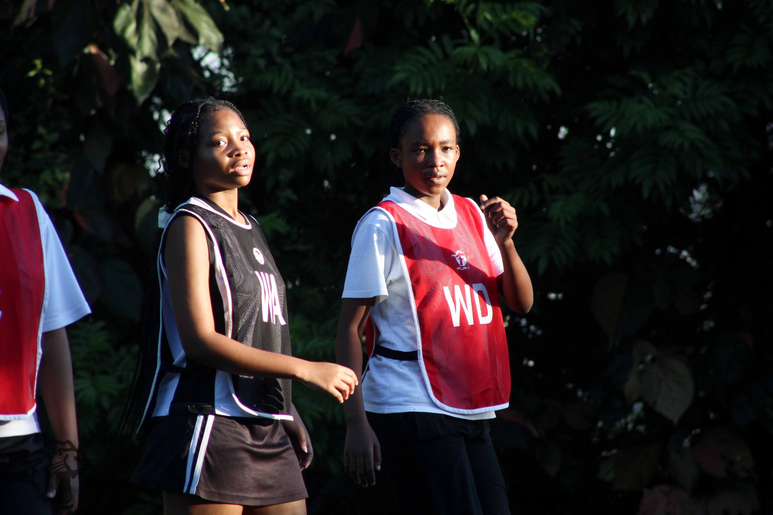 Netball (1)