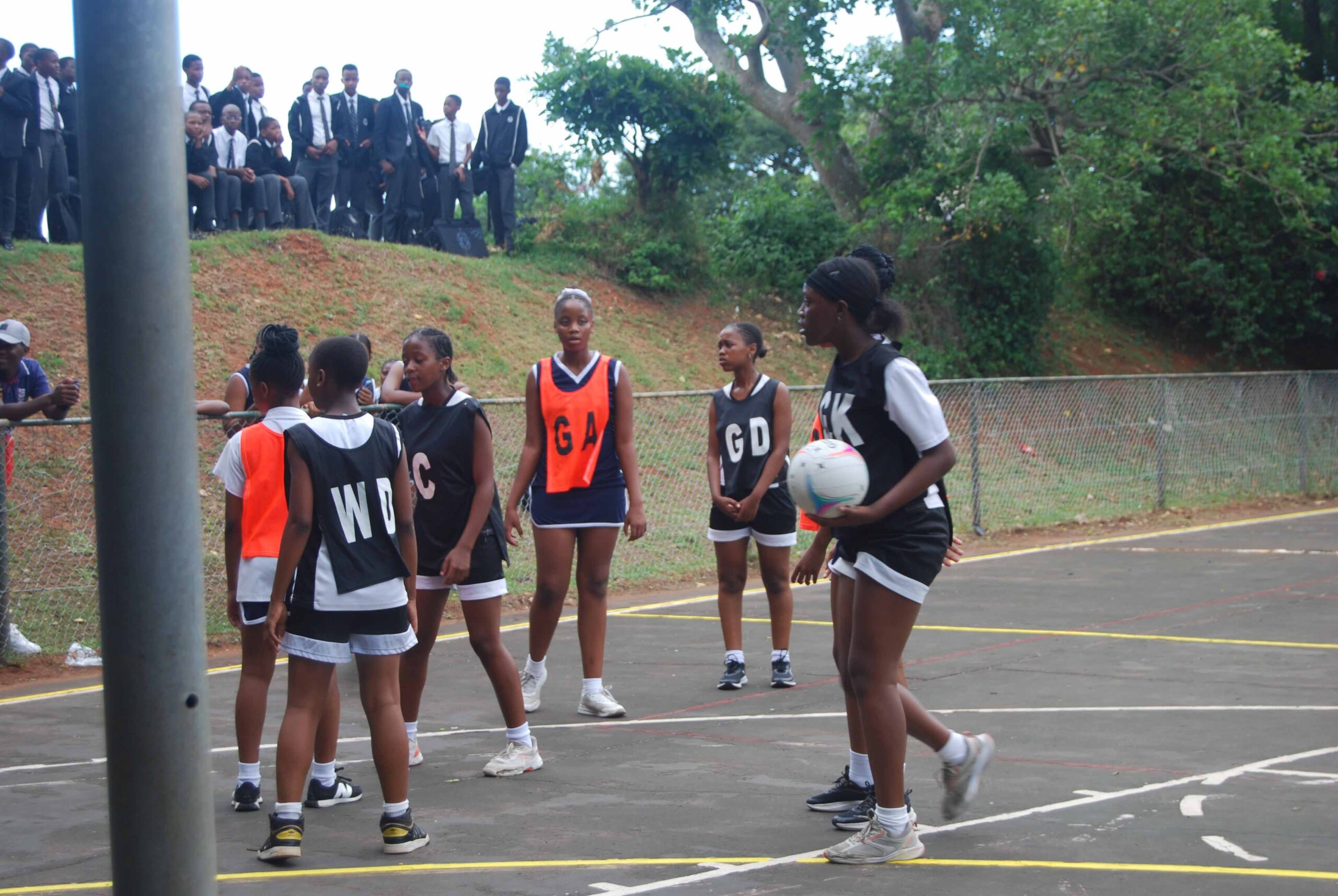 Netball (213)