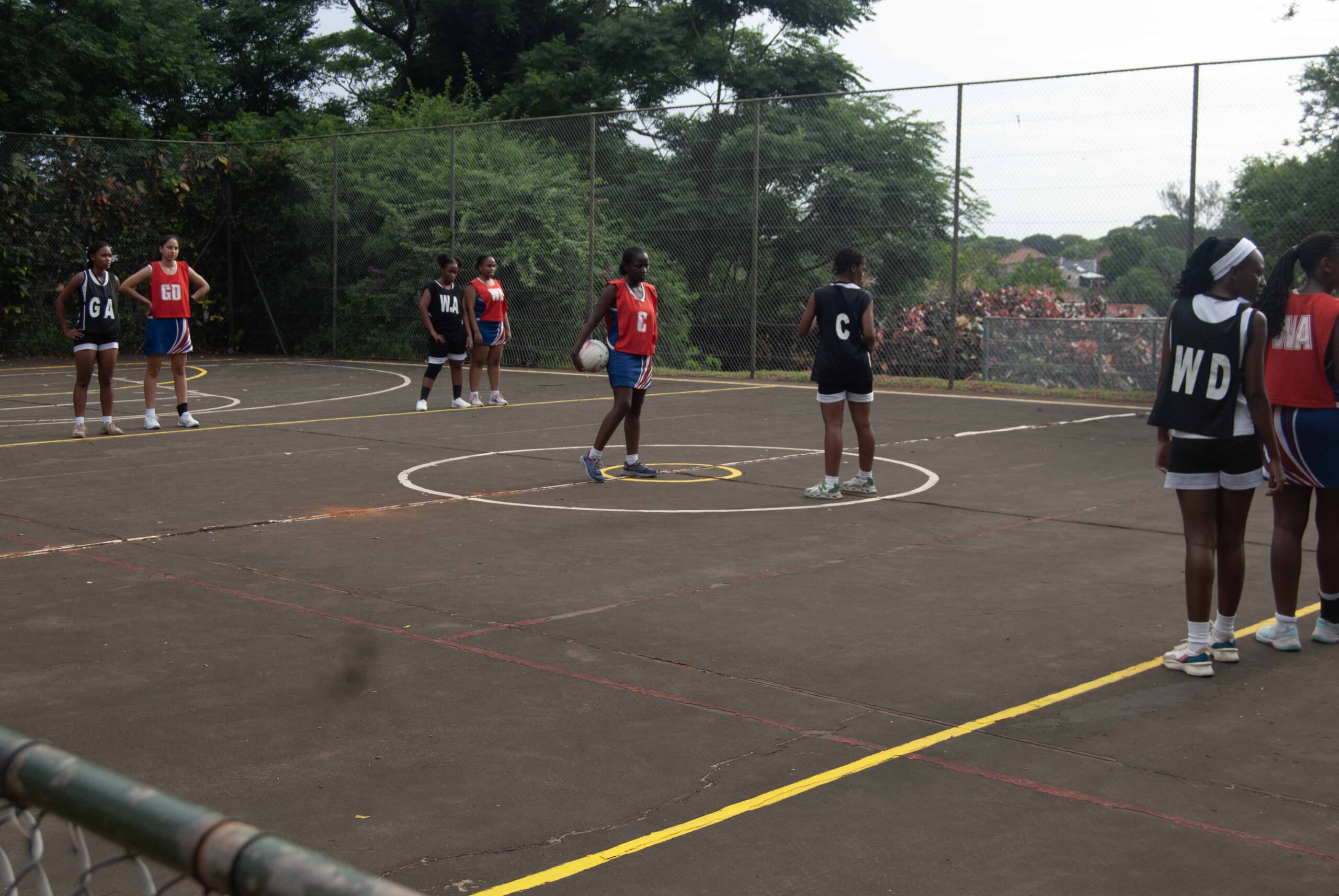 Netball (224)