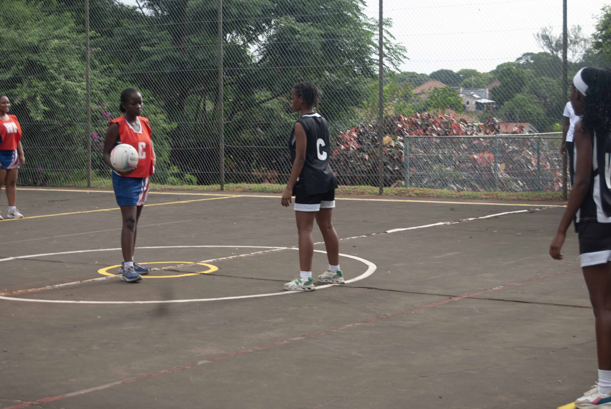 Netball (226)