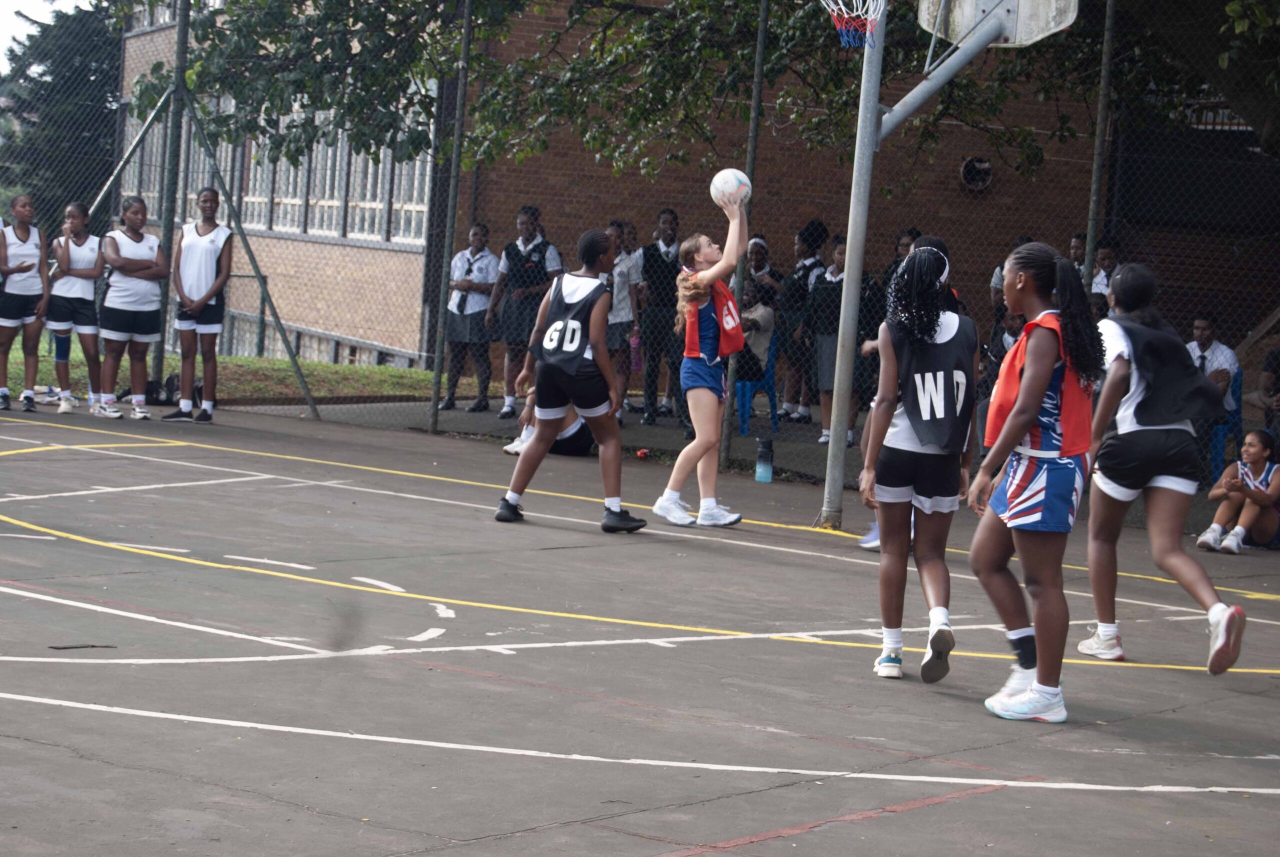 Netball (230)