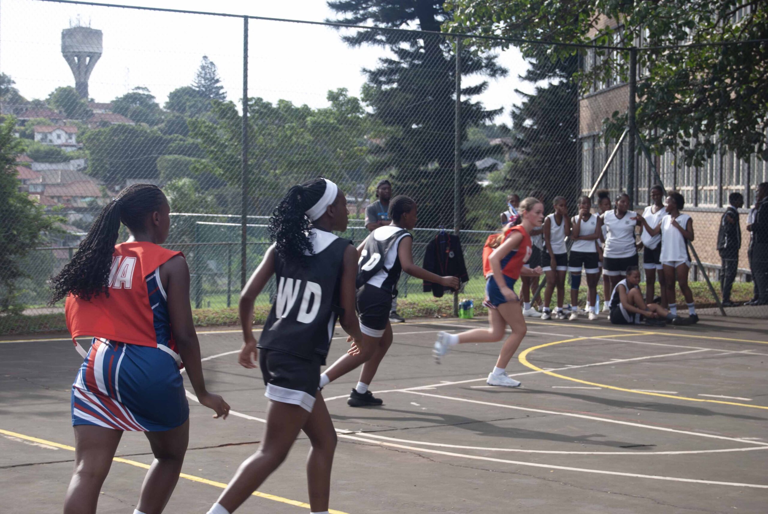 Netball (238)