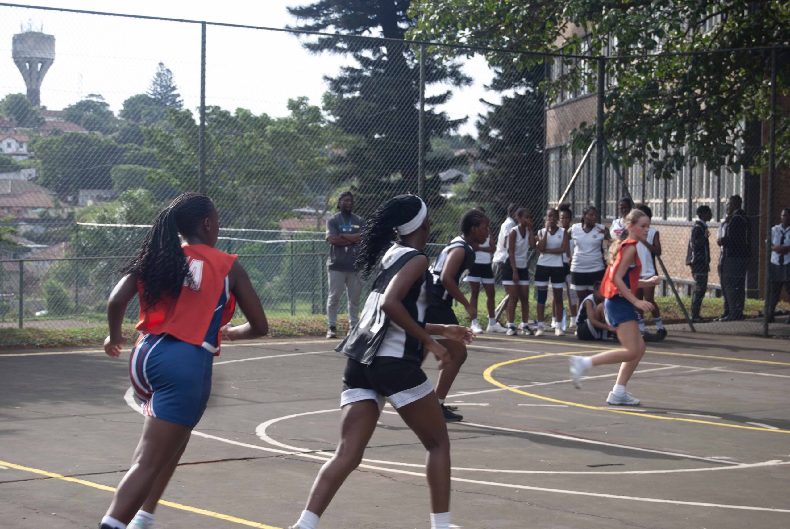 Netball (240)