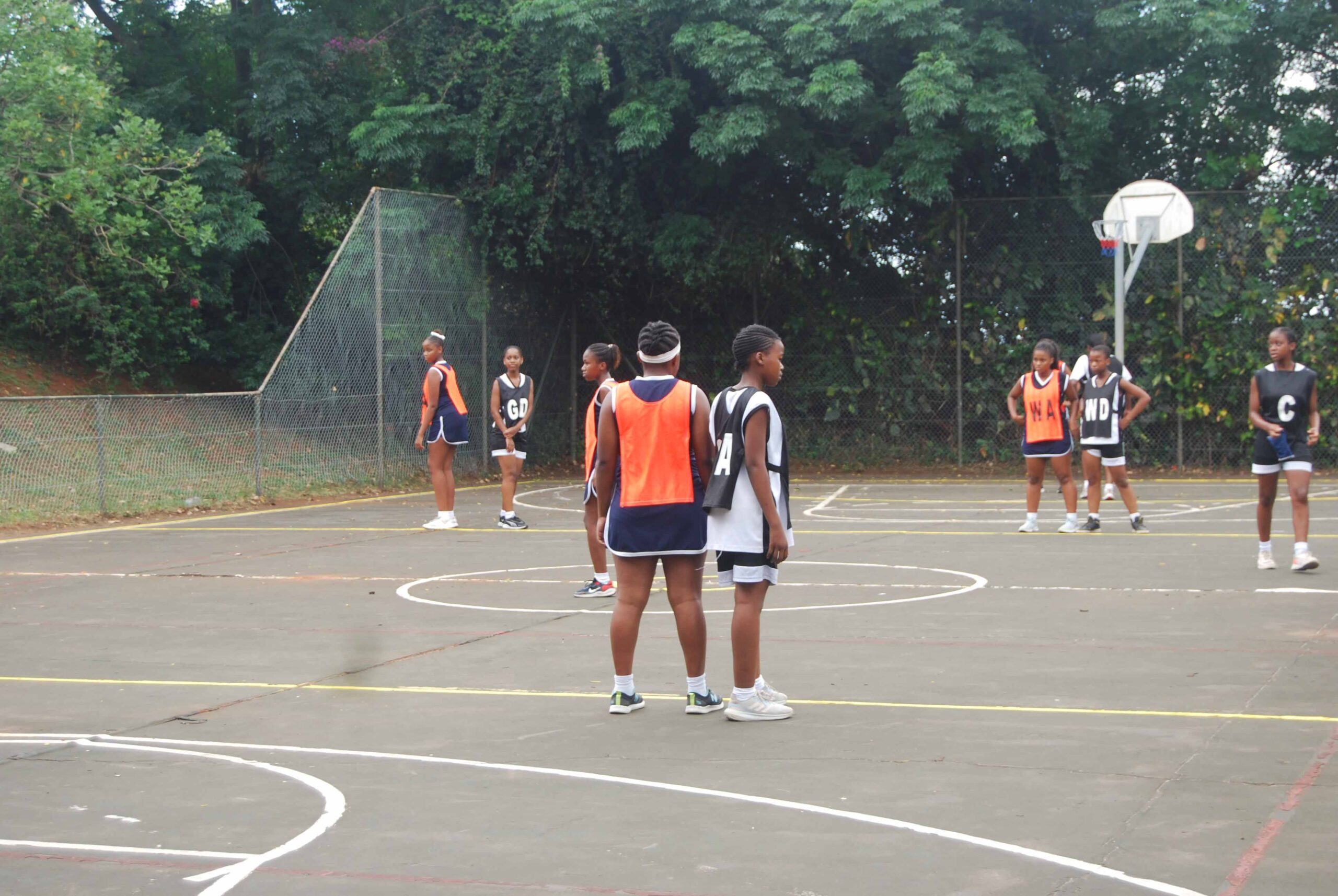 Netball (241)