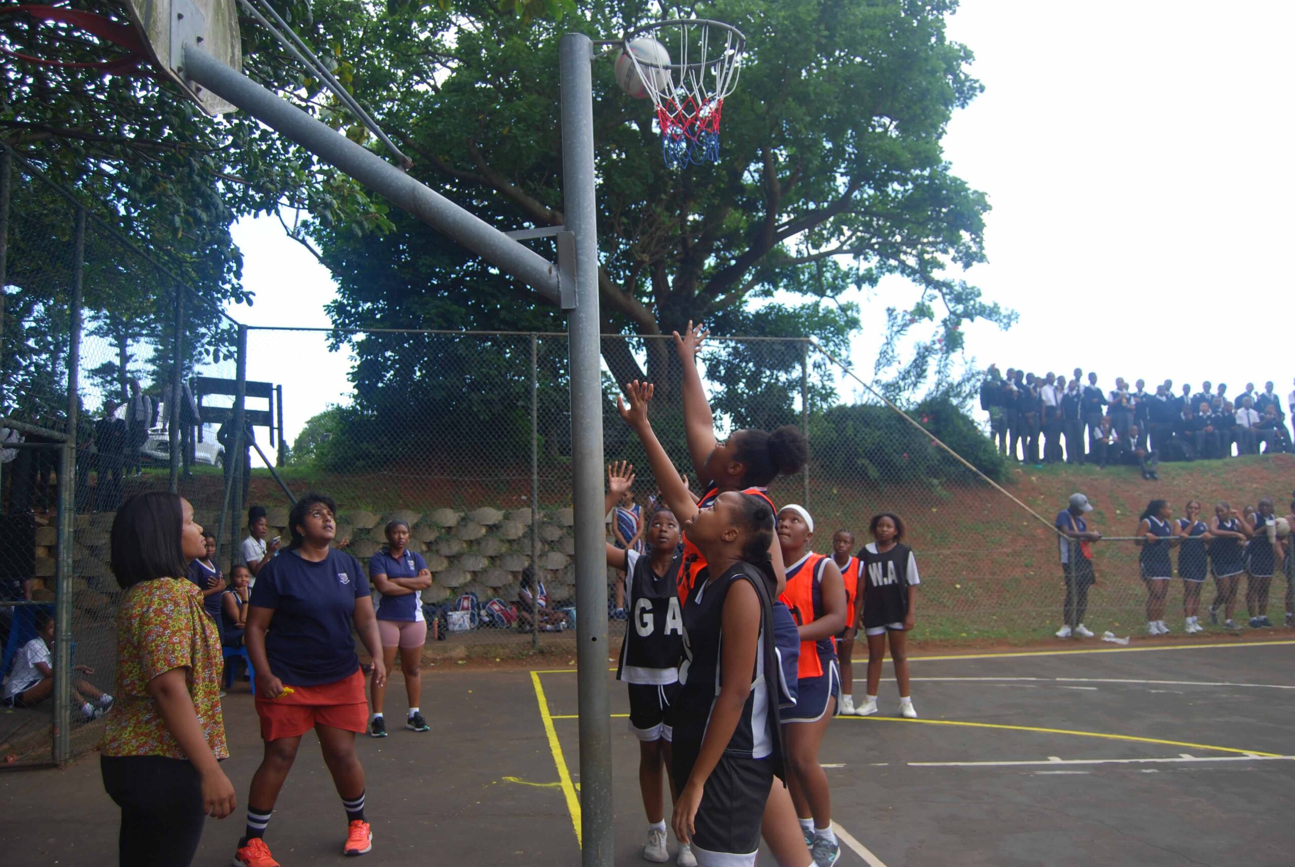 Netball (245)