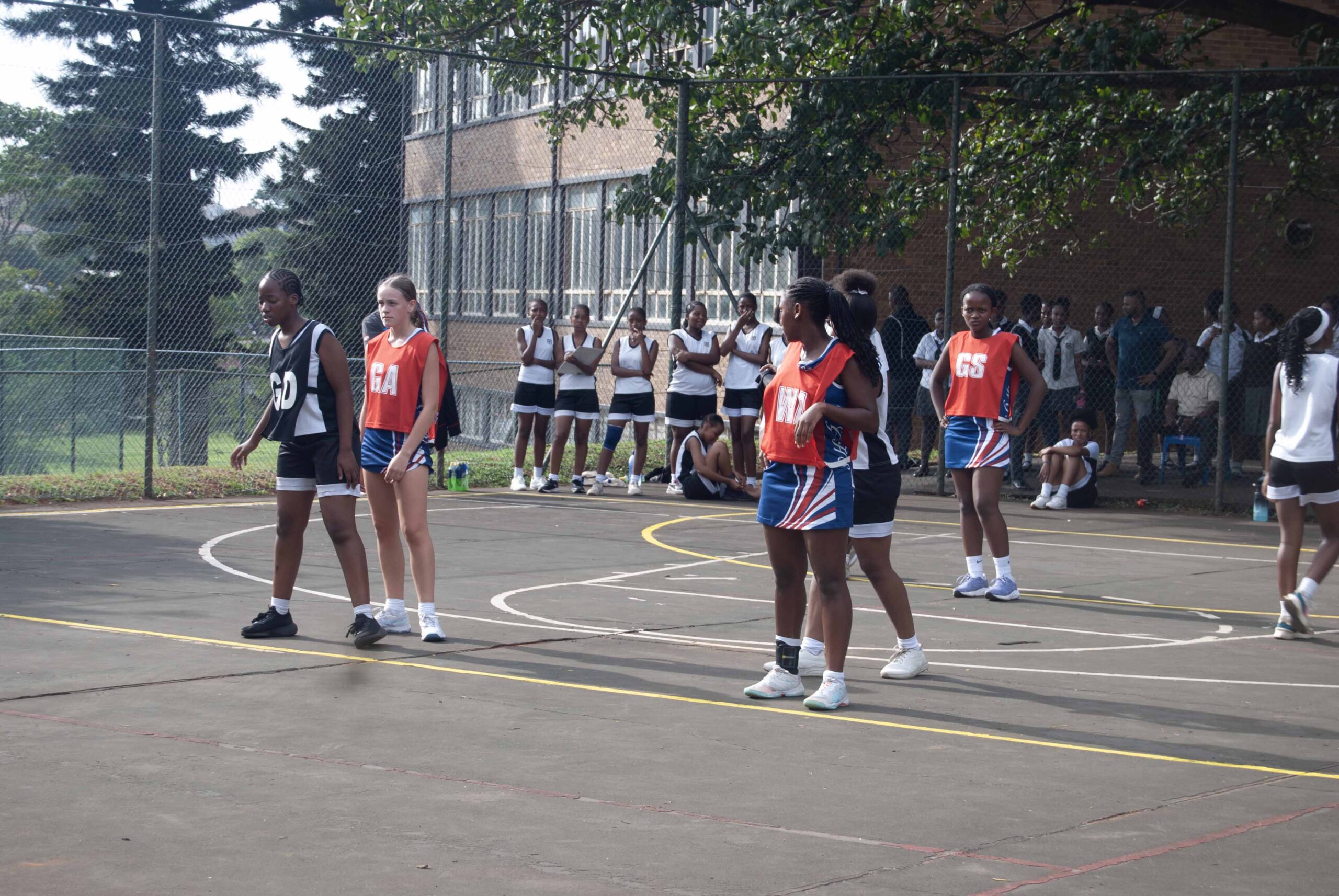 Netball (246)