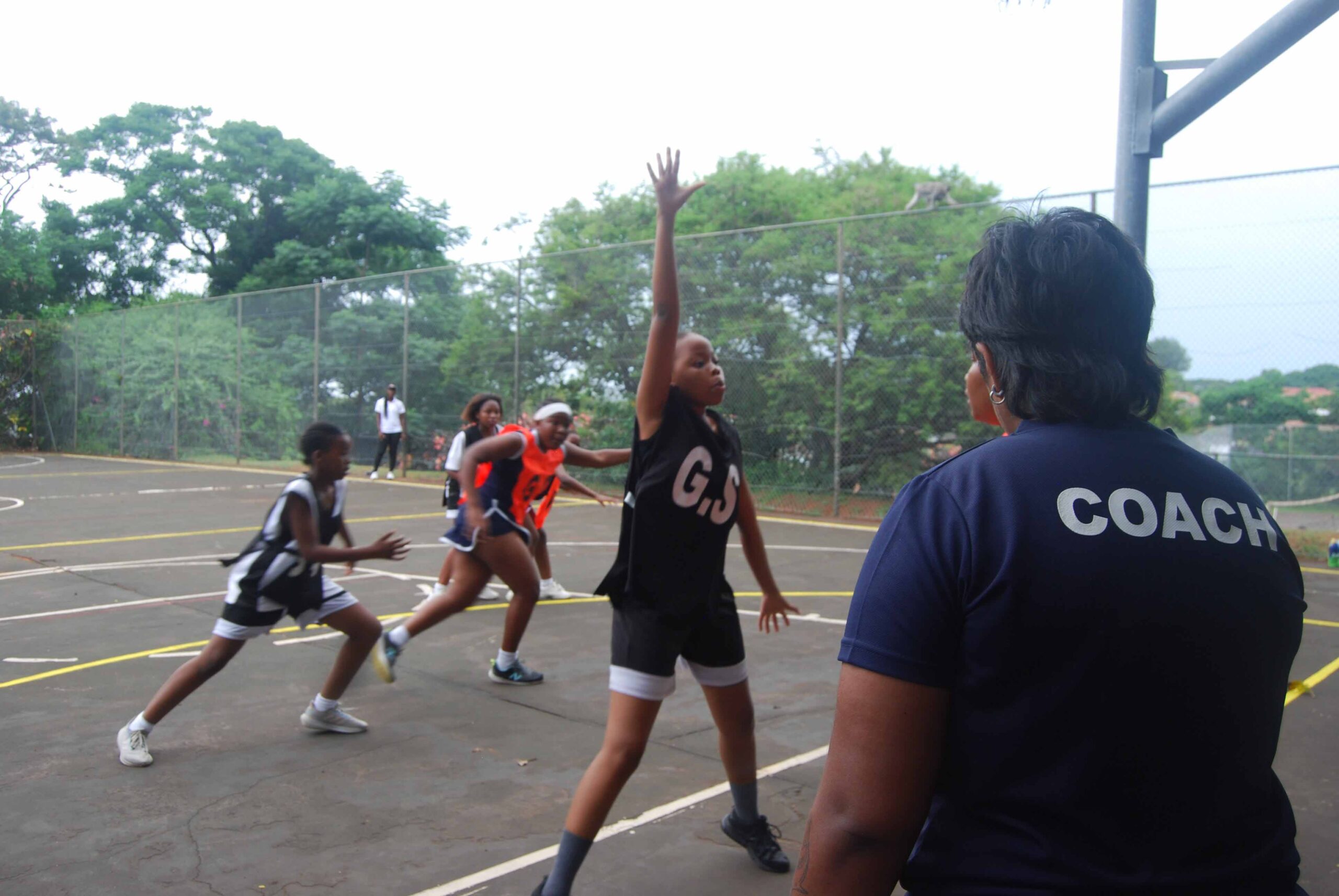 Netball (249)