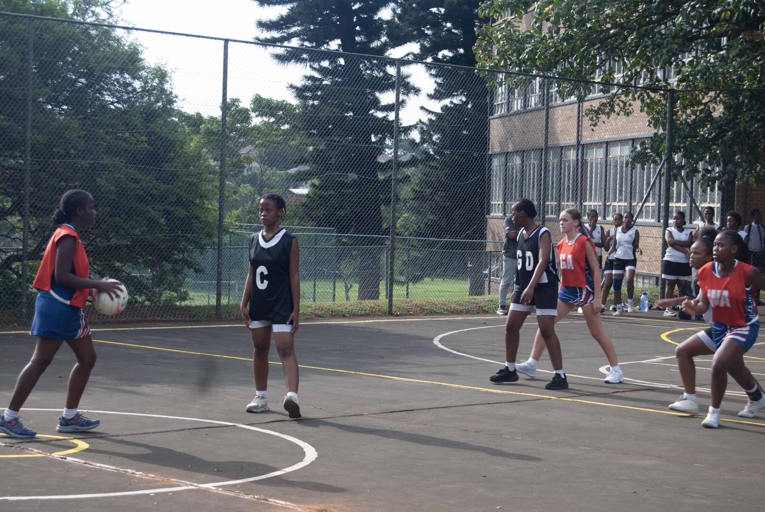 Netball (250)