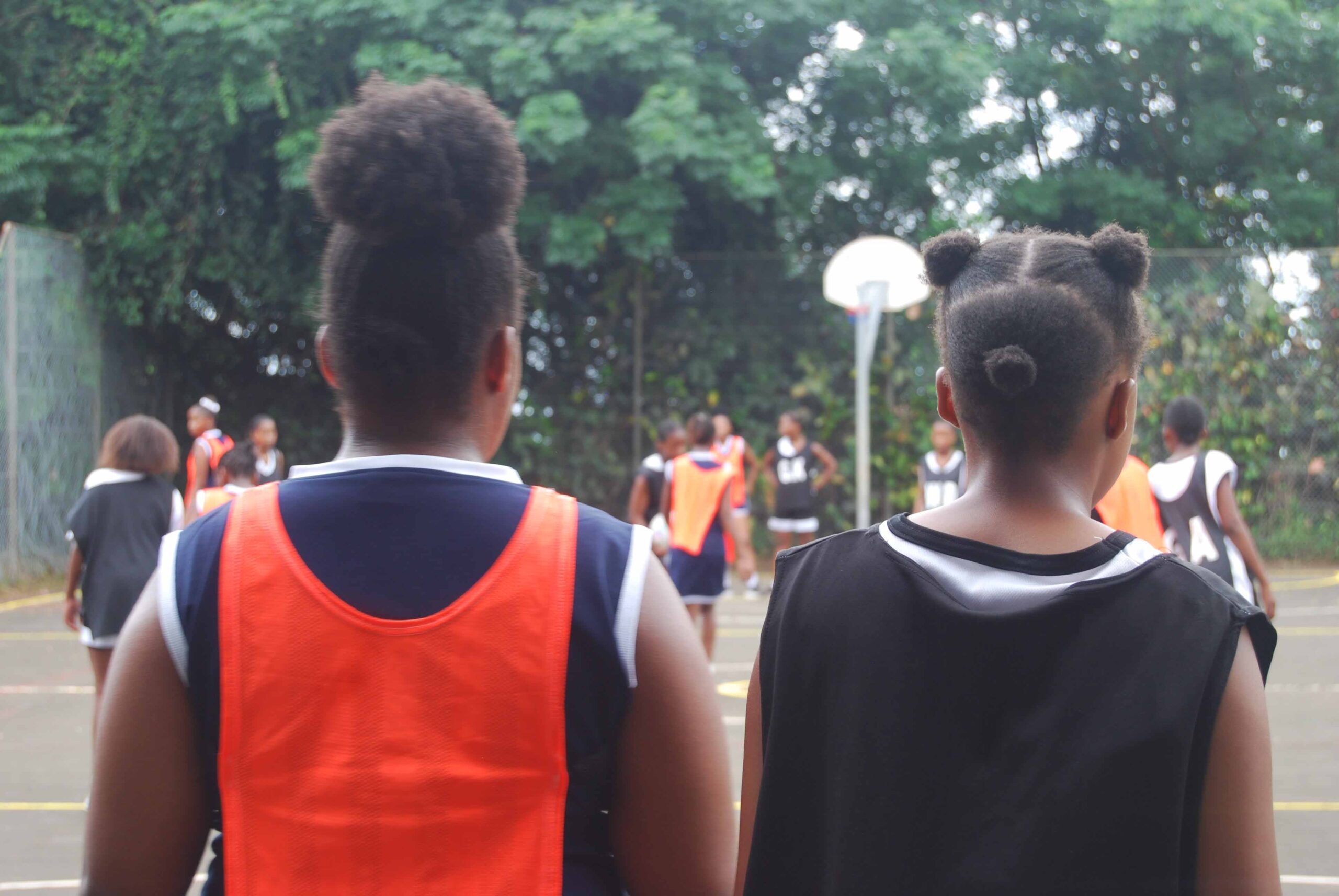 Netball (253)