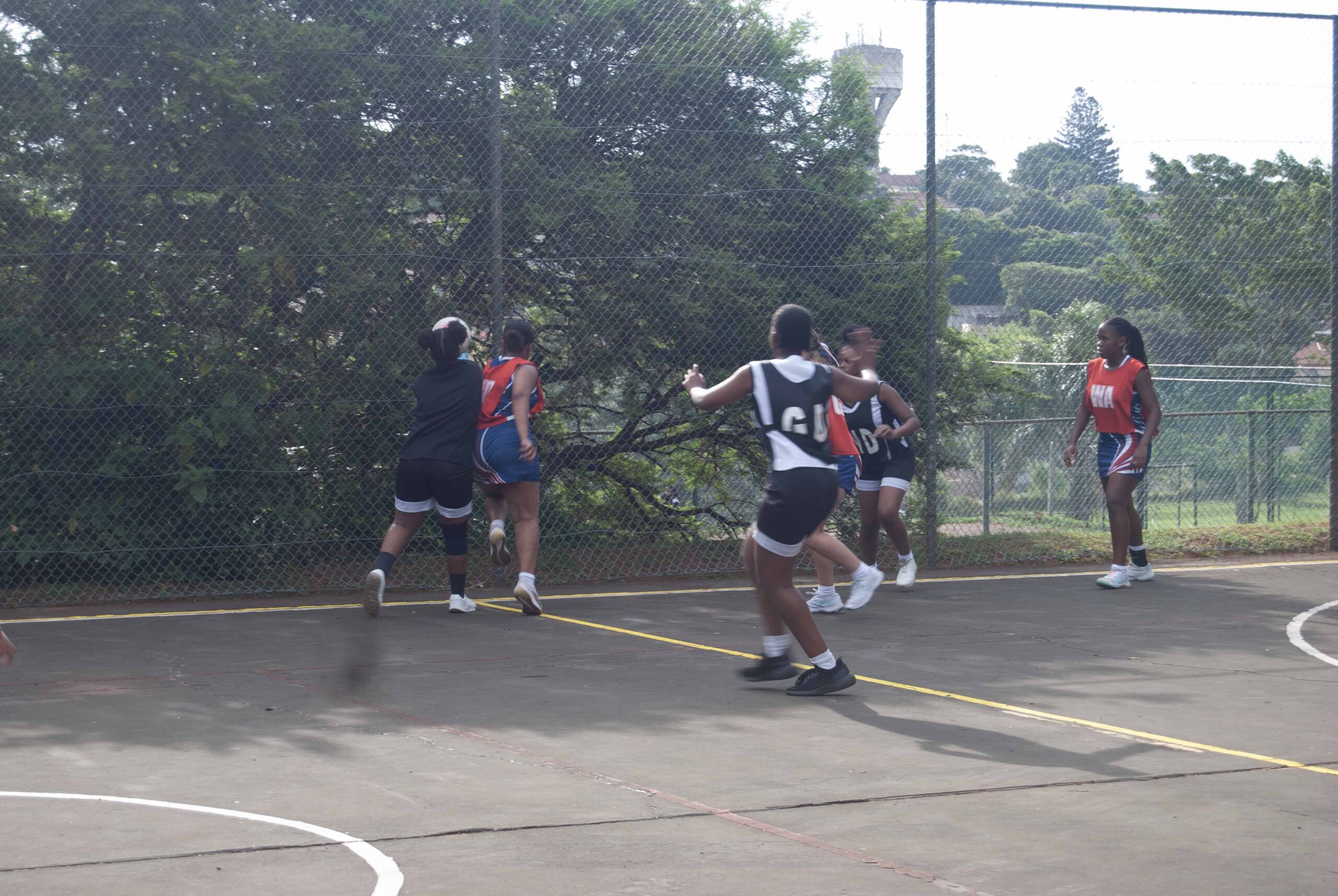Netball (254)