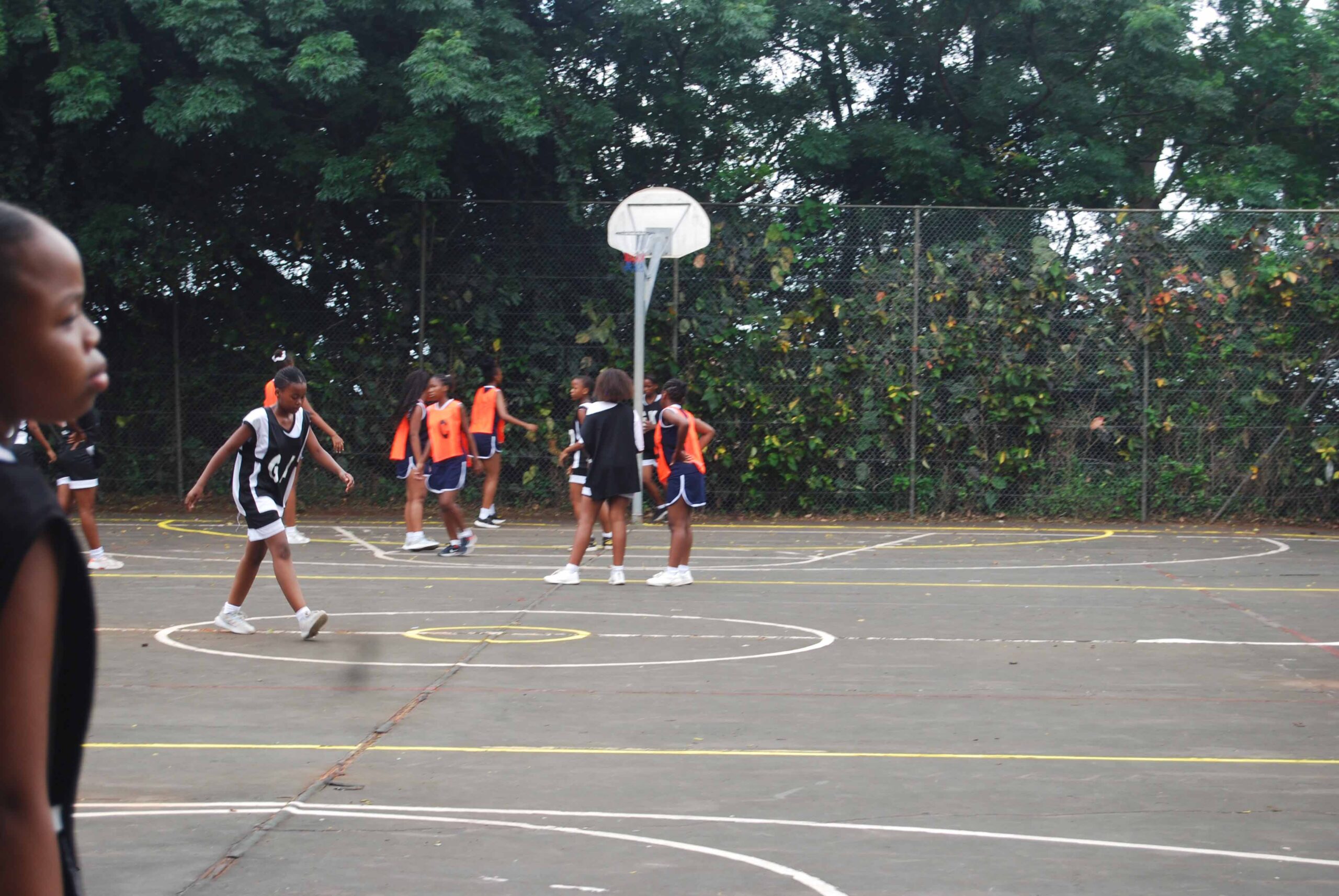 Netball (257)