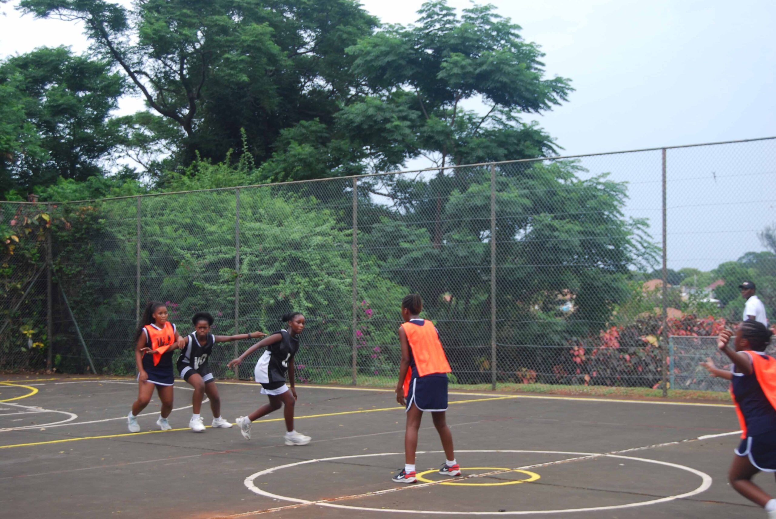 Netball (263)