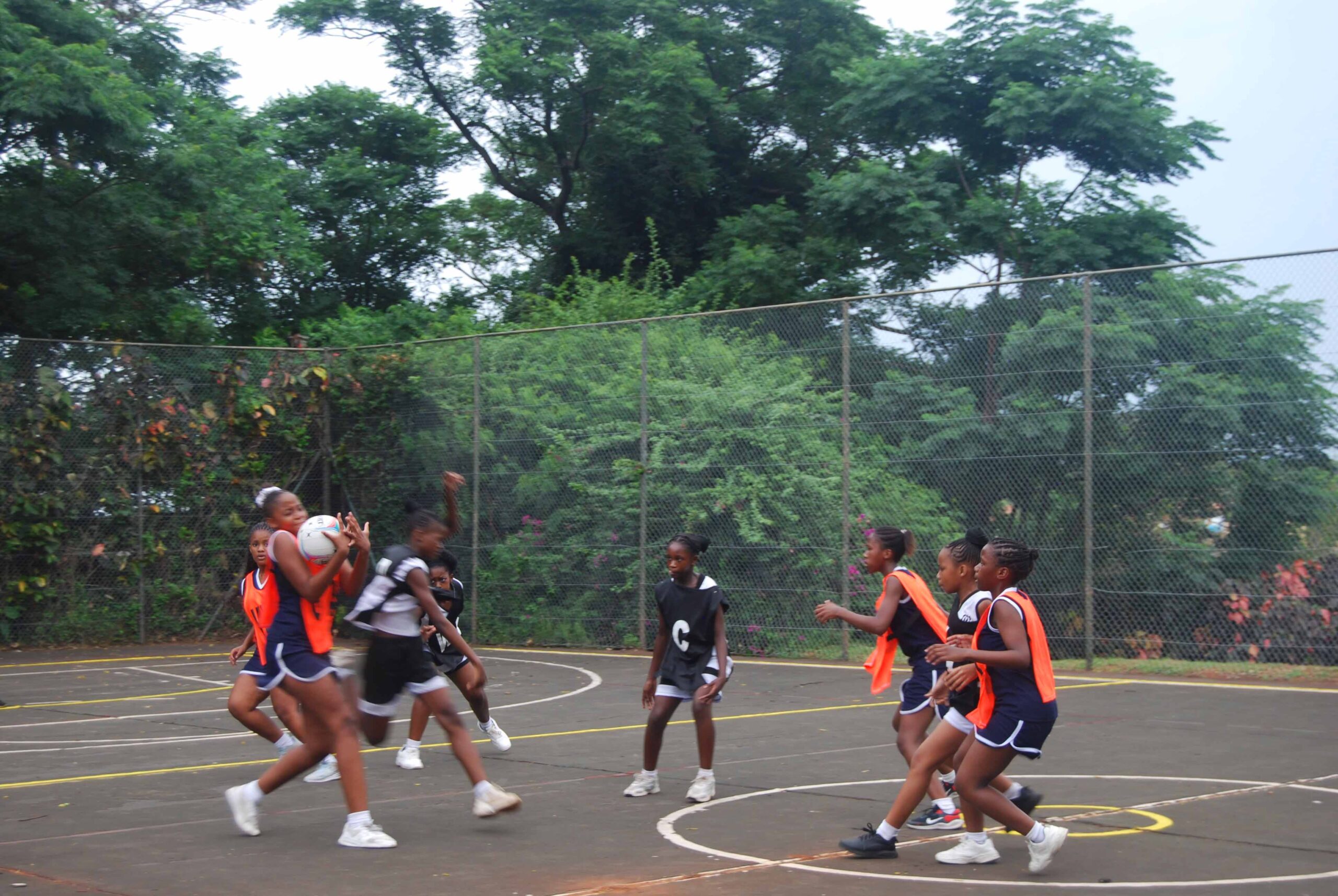 Netball (265)