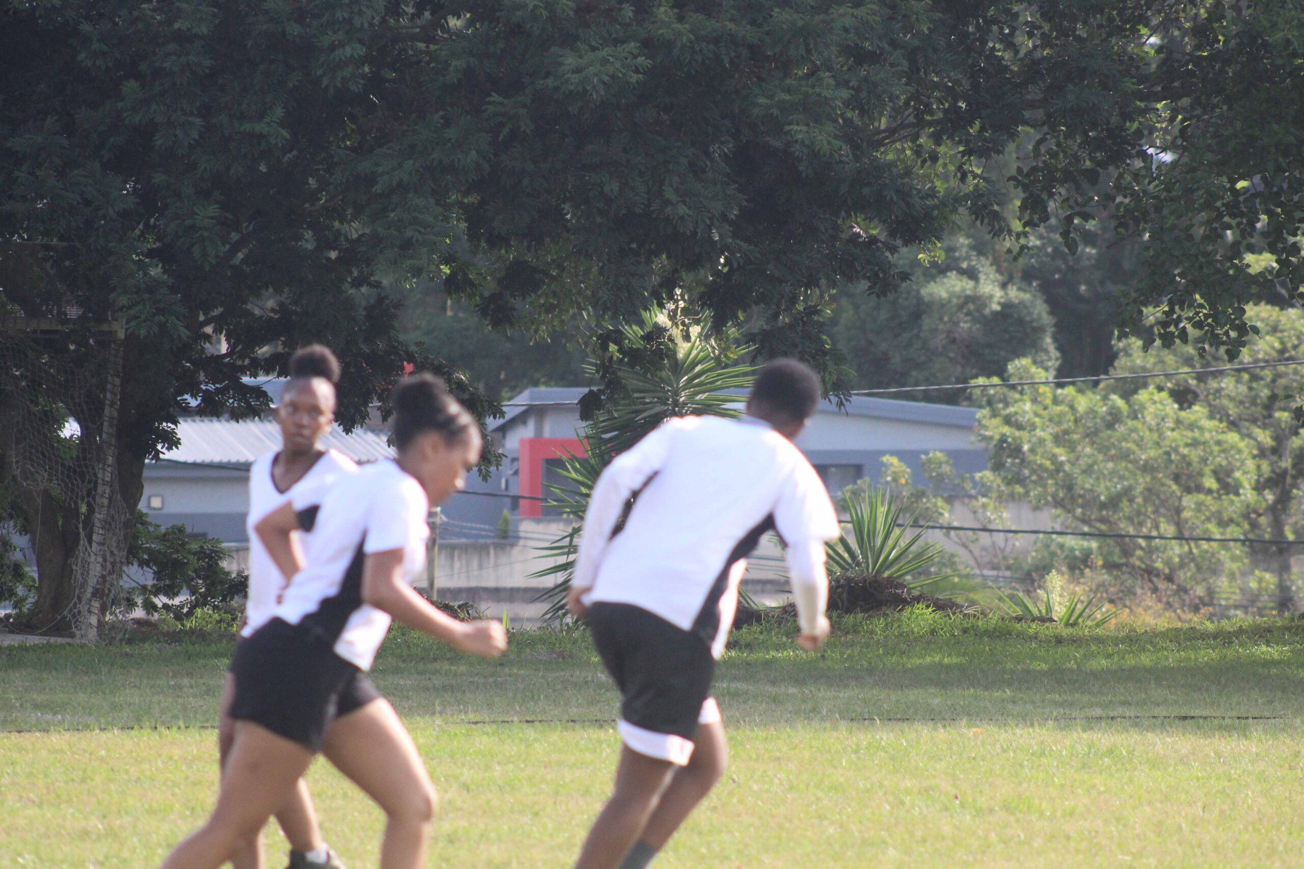 Touch Rugby (101)