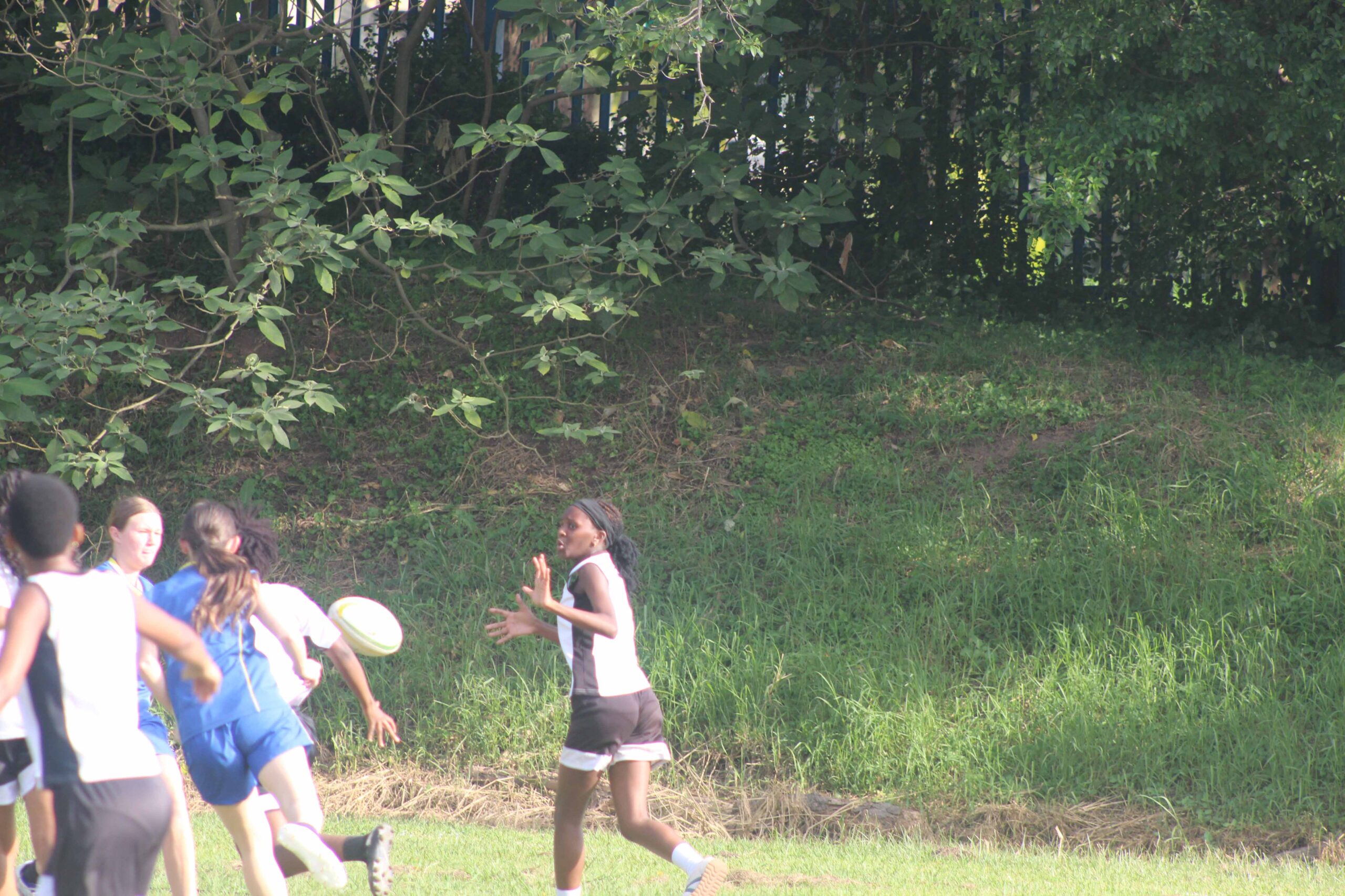 Touch Rugby (15)