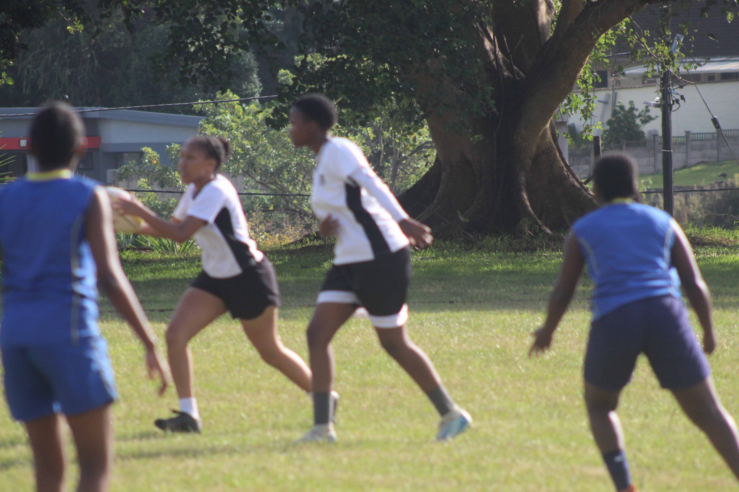 Touch Rugby (2)