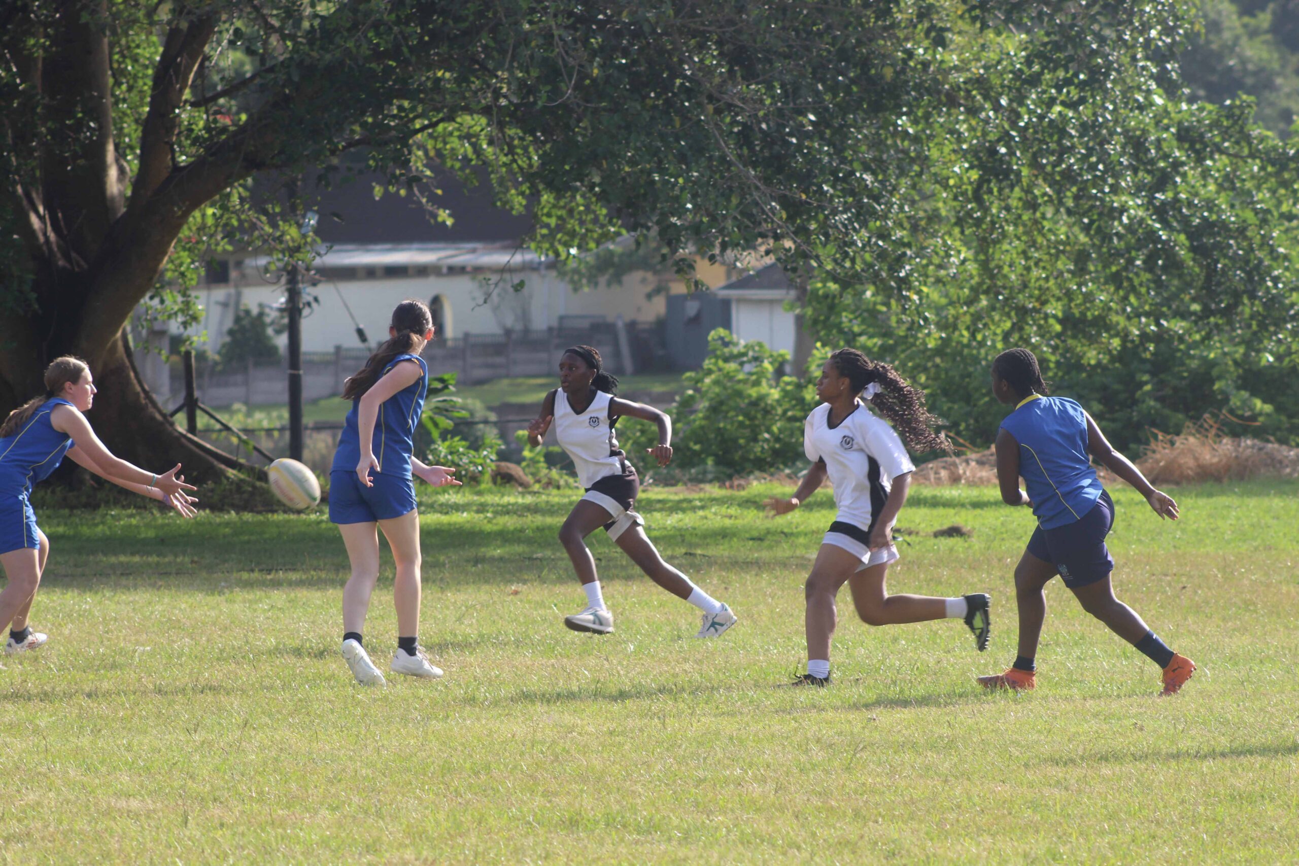 Touch Rugby (4)