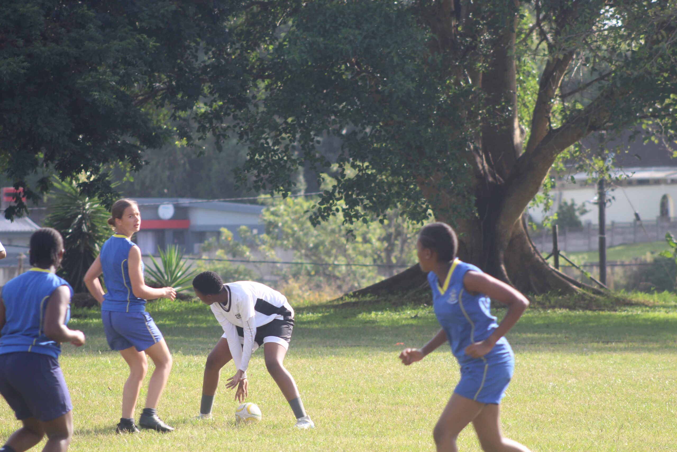 Touch Rugby (6)