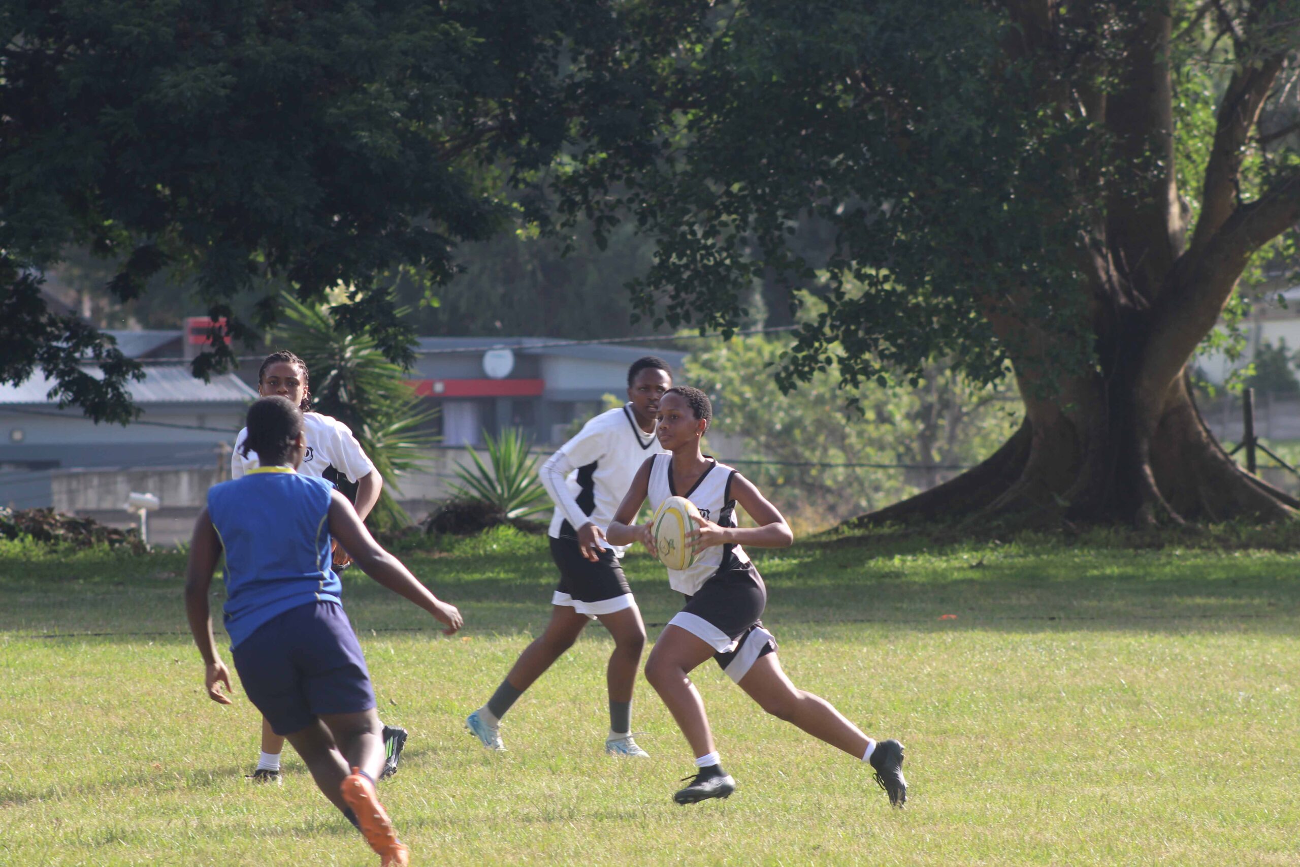 Touch Rugby (7)
