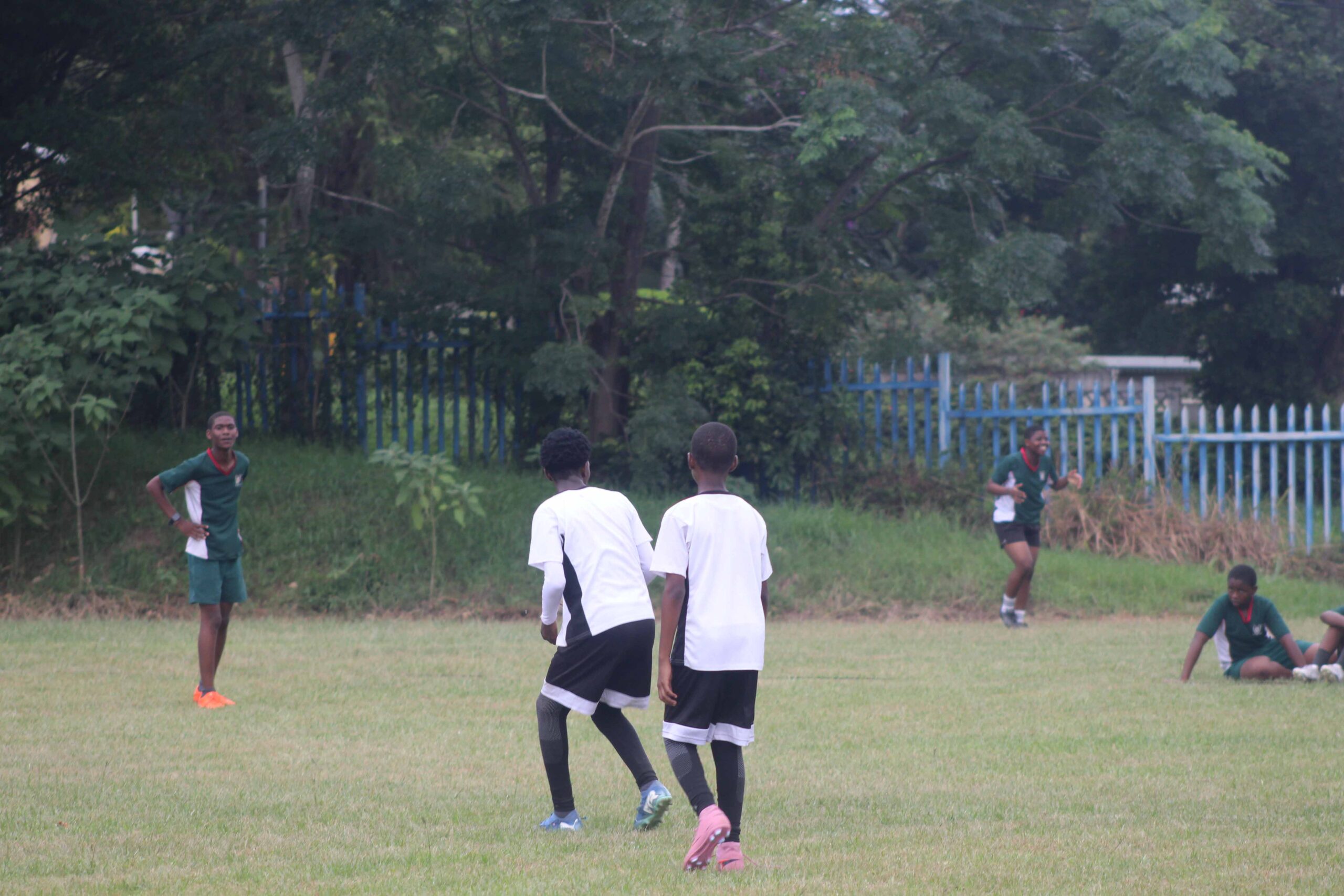 Touch Rugby (71)