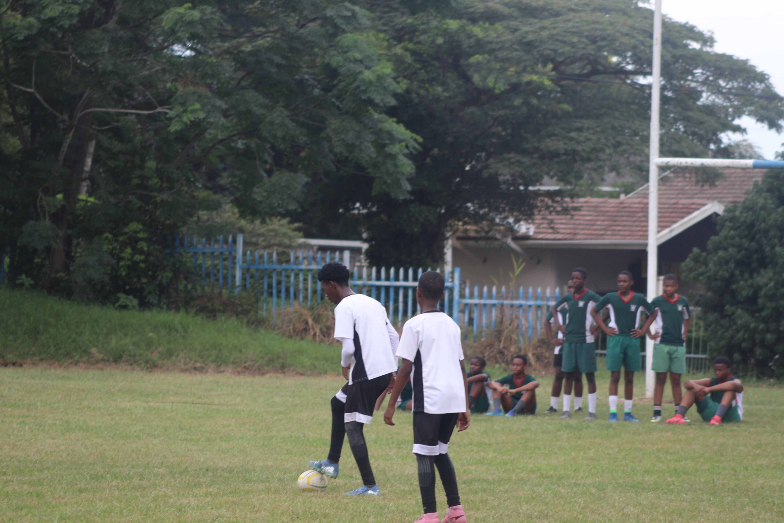 Touch Rugby (73)
