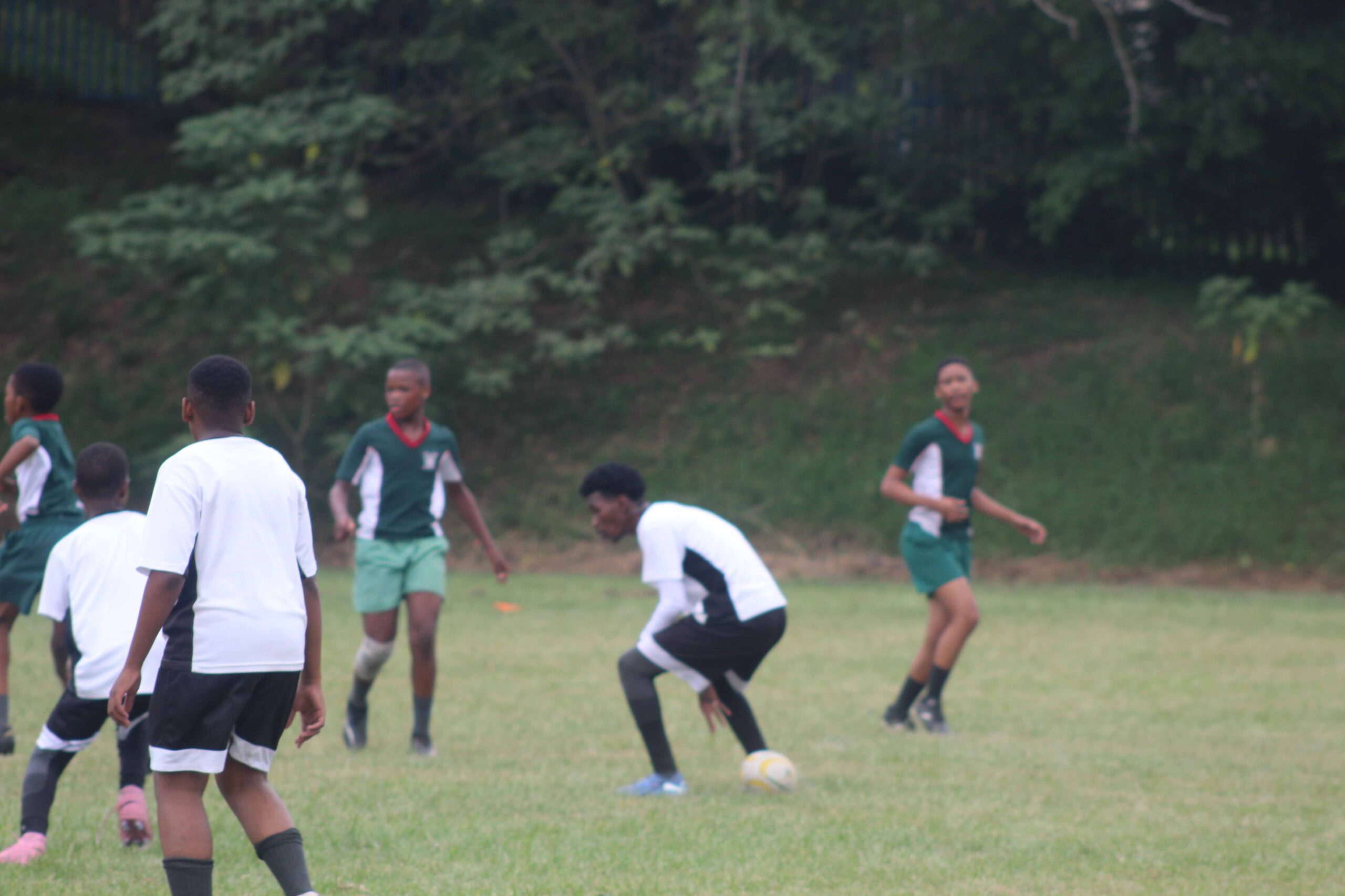 Touch Rugby (74)