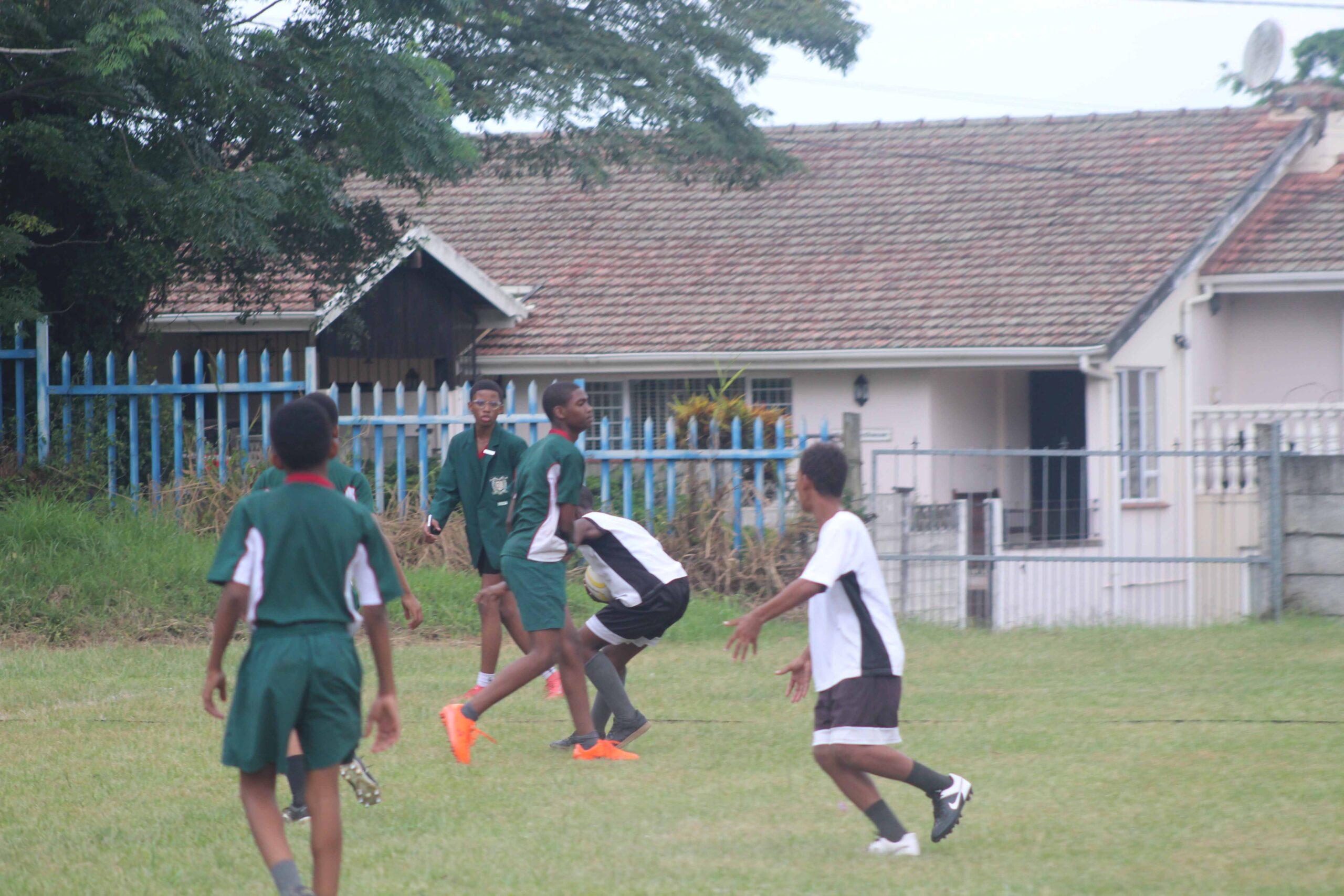 Touch Rugby (85)
