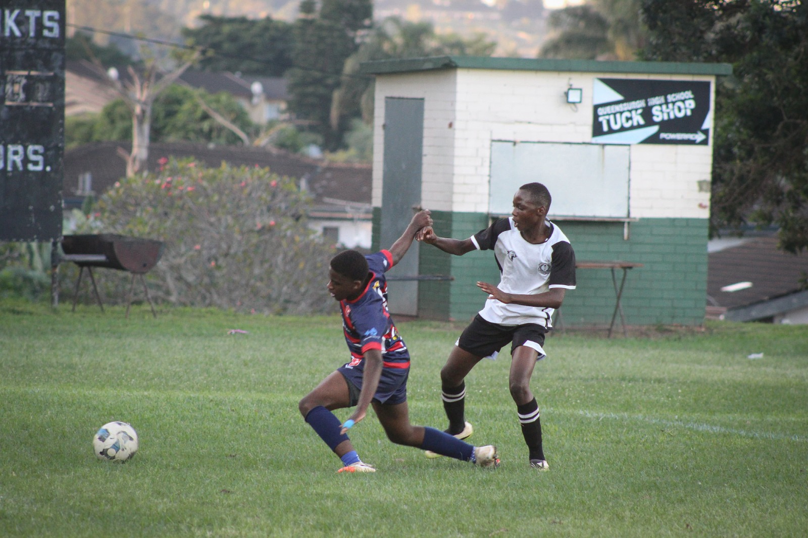 Soccer 2026 (6)